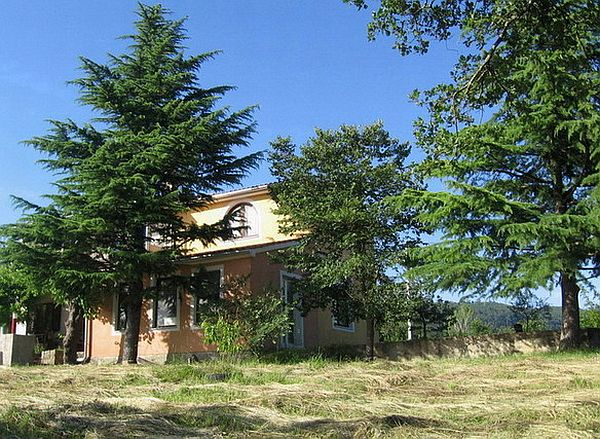*Image showing property for sale in Groznjan